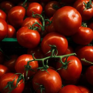 Vibrant red tomatoes on the vine, perfect for healthy recipes.