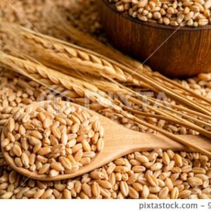 godhi 1kg
